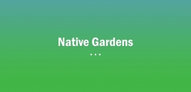 Native Garden | Perth Gardeners and Landscapers perth